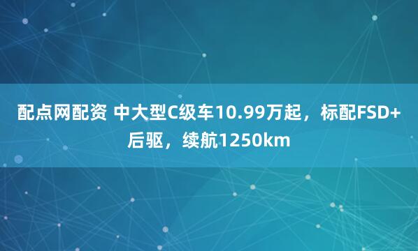 配点网配资 中大型C级车10.99万起，标配FSD+后驱，续航1250km