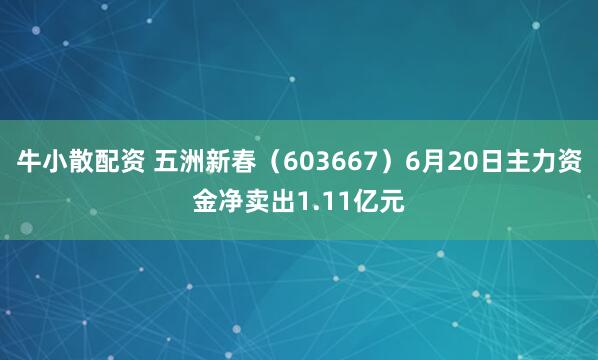 牛小散配资 五洲新春（603667）6月20日主力资金净卖出1.11亿元