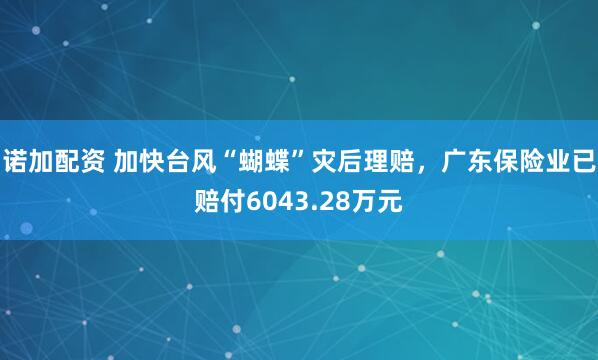 诺加配资 加快台风“蝴蝶”灾后理赔，广东保险业已赔付6043.28万元