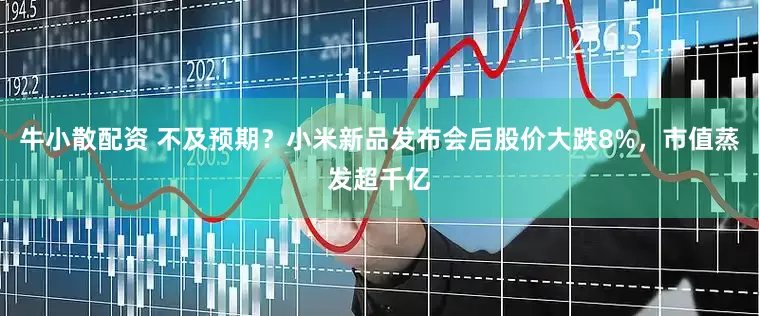 牛小散配资 不及预期？小米新品发布会后股价大跌8%，市值蒸发超千亿
