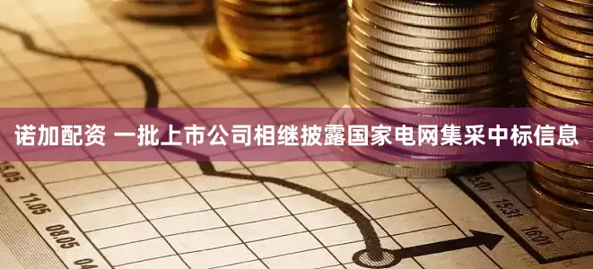 诺加配资 一批上市公司相继披露国家电网集采中标信息